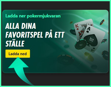 Välj att ladda ner programmet.