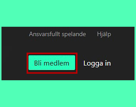 Klicka på registreringsknappen.