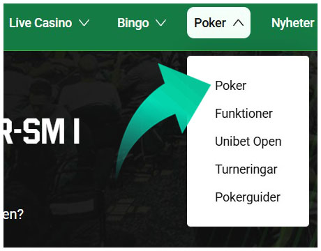 Välj en sektion med spel
