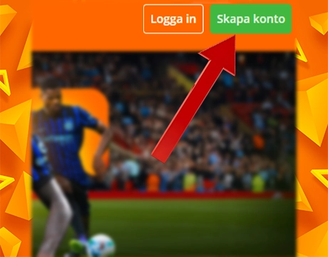 Steg: 1