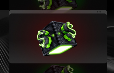 Steg