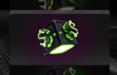 Steg
