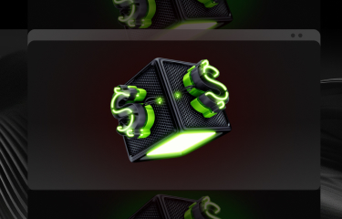 Steg