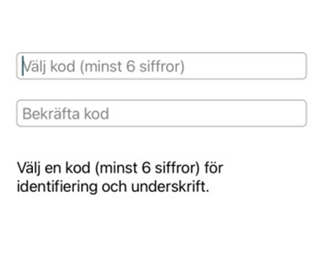 Steg 4