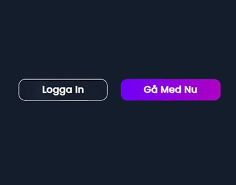 Steg 1