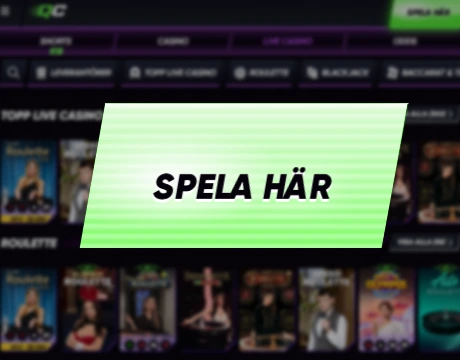 Steg 1