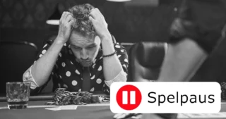 Spelpaus